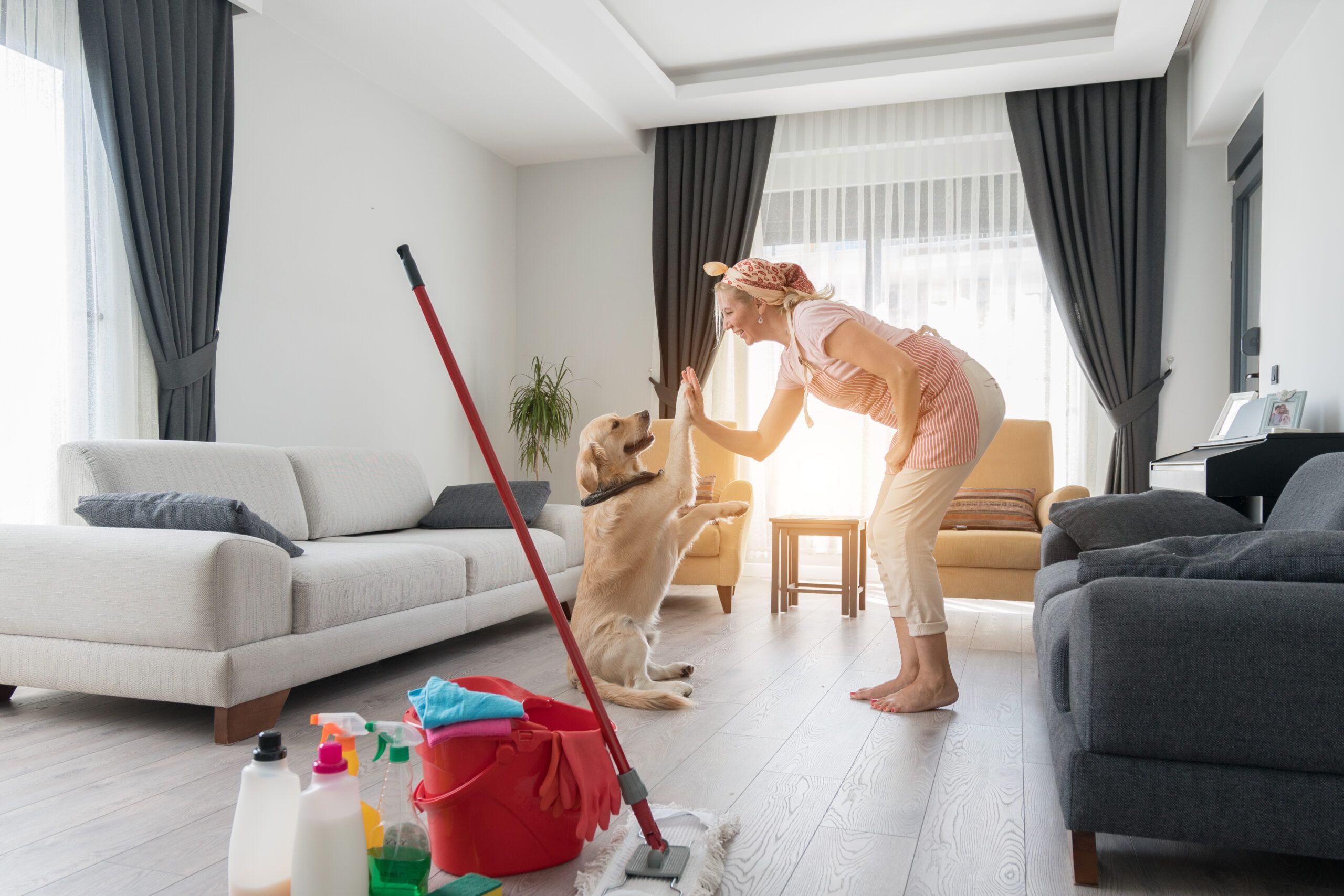 Städtips för djurägare: Hantera päls och odörer